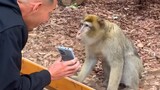 Interesting Animal Moments Caught On Camera!