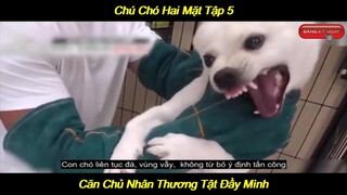 Chú Chó Hai Mặt Chỉ Biết Cắn Chủ Tập 5 - Cắn Chủ Không Thương Tiếc | Giải Trí Mỗi Ngày