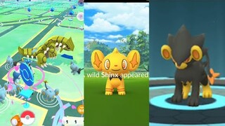 The most waited shiny Shinx  CD learns Psychic when evolve into Luxray