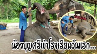 น้องบุญศรีเข้าโรงเรียนจะเรียนเก่งไหมไปชมกันครับ?
