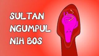 KOMPILASI LAHIRNYA PARA SULTAN