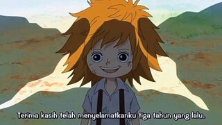 momen tersedih one piece || koala si bocah tertegar 🥲