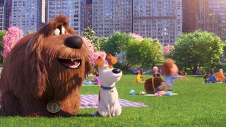 PETS 2 FULL MOVIE