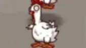 When the chicken has giant HP, 5 times the movement speed, the torch will be injured in seconds [Pvz