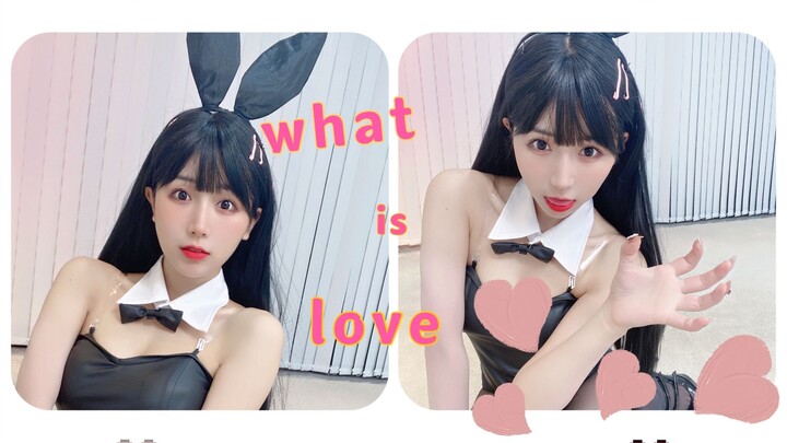 【小深深儿】竖版兔女郎  麻衣学姐 what is love？