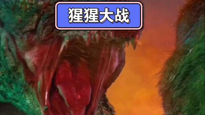 猩猩大战