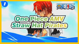 What Kind Of Ending Is The Most Fitting For These Enduring Pirates Straw Hat Pirates_1