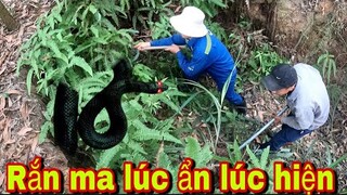 Truy Tìm Con Rắn Gây Á.m Ảnh Lúc Ẩn Lúc Hiện | Đại Vùng Cao