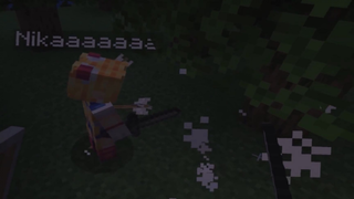 19aaaaaa
