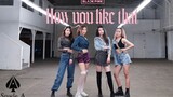 4K超强还原! Blackpink回归新曲 《How You Like That》全曲翻跳【Spade A舞社】