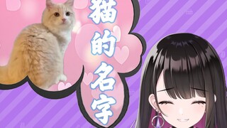 【B限切片】梦与猫猫【恋乃夜舞】