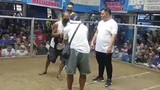 My Bulik win vs mayahin at Mandaluyong cock pit
