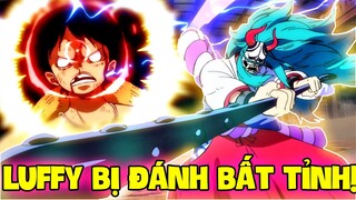 1 ĐẬP BẤT TỈNH?! | NHỮNG LẦN LUFFY BỊ ĐÁNH CHO BẤT TỈNH TRONG ONE PIECE