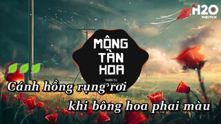 Mộng Tàn Hoa Karaoke - Thiên Tú | Bản Karaoke Remix Hay Nhất - Cành hồng đã úa giấc mơ cũng dần tan