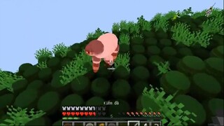 Vinh Chạm Vào Thứ Gì Nó Sẽ Biến Thành Hình Tròn -- Minecraft THẾ GIỚI TOÀN LÀ HÌ