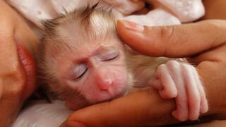 Napping Time!! Tiny adorable Luca needs Mom to comfort him when going to sleep