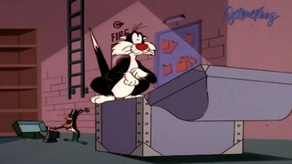 Sylvester and tweety mysteries One Hoggy Throat พากย์ไทย