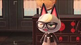 [Dongsen] Rutinitas Melaleuca Jack Cat