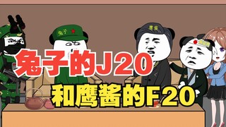 兔子的J20和鹰酱的F20，两家的相差大吗？