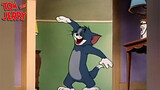 [Tom và Jerry] Nhạc trưởng Tom hài hước | Khớp beat (7)