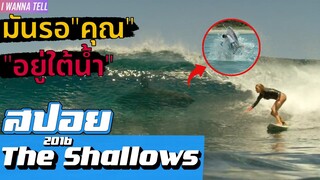 "มัน"มาพร้อมกับ"คลื่น" (สปอยหนัง) The Shallows 2016