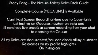 Stacy Pong Course The Not-so-$alesy Sales Pitch Guide download
