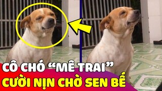 Chú chó mê trai 'NGỒI CƯỜI' mỏi cả hàm vì chỉ muốn được anh Sen bế 😅 Gâu Đần