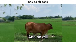 Anh bò tốt tính #haihuoc