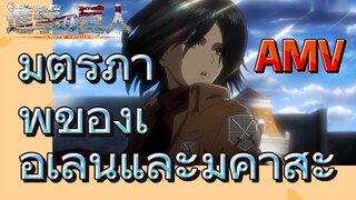 [ผ่าพิภพไททัน] AMV | มิตรภาพของเอเลนและมิคาสะ