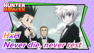 HUNTER×HUNTER|[Epic]Chairman VS Meruem-Never die, never rest