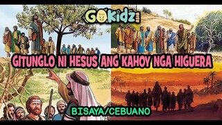 "GITUNGLO NI HESUS ANG KAHOY NGA HIGUERA"