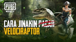 PUBG MOBILE | Cara Jinakkin Velociraptor