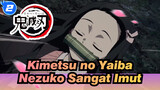 Kimetsu no Yaiba | [MMD] Nezuko Saaaaangat Imut!!!_2