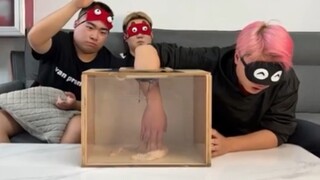 Hahahahahaha guess the object by touching the box