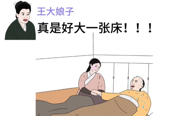 假如王大娘子误入甄嬛传……