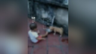 2 ae ngồi lê la 😊 yeucho yeuchomeo cún cúncon chó chómèo chócon chó_cưng chókhôn yeuchomeo cưng chócute pet dog dogsoftiktok doggo