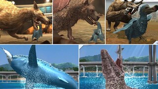 ALL CENOZOIC & ALL AQUATIC FEEDING OR HUNTING SCENE ANIMATION | Jurassic World The Game