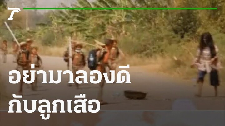 อย่ามาลองดีกับลูกเสือ | 03-11-64 | ตะลอนข่าว