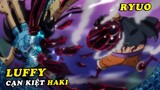 ( One Piece 1003 ) - Luffy cạn kiệt Haki trong trận chiến , Mức độ phát triển Ryuo của Luffy
