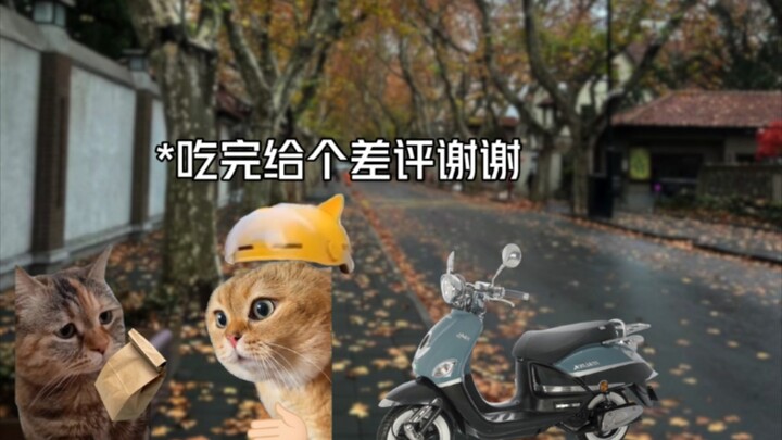 【猫meme】“给完给个差评谢谢”