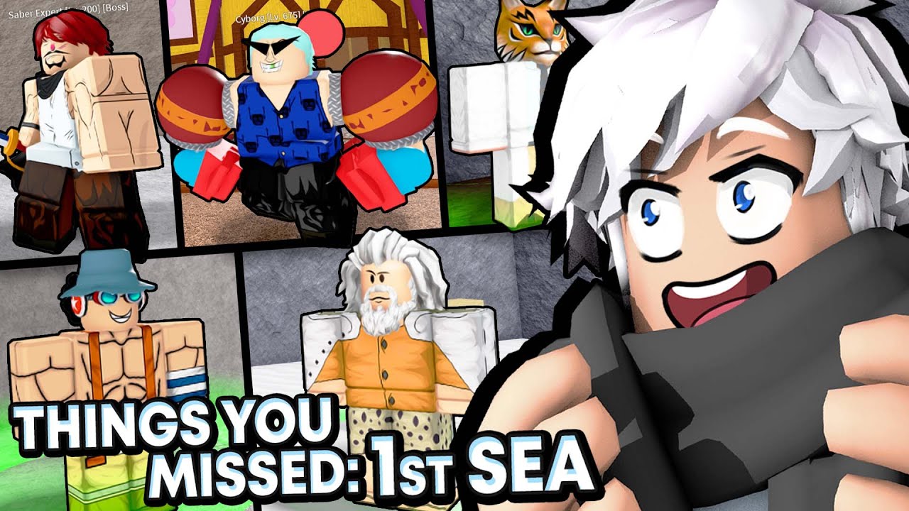 Blox Fruits) [SHOWCASE + INFO] Top 5 things that is HARD to get on SECOND  SEA!! 