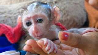 Extremely Adorable!! Wow, Tiny adorable Luca is really joyful by Mom's comfort