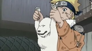 Naruto Dattebayo (Short Ep 120) -Kiba chiến đấu (P2) #naruto