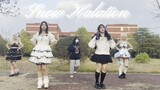 【LOVE LIVE!】挑战全网最不齐Snow halation~