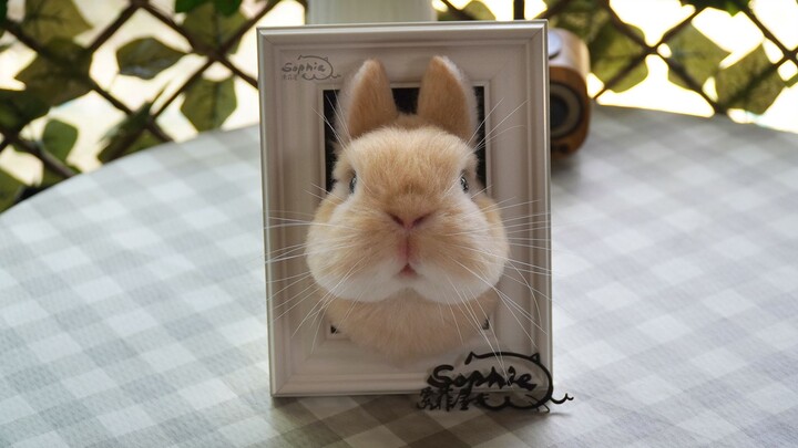กระต่ายแฮนด์เมด - งานขนสักหลาดบ้านโซฟี