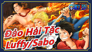 [Đảo Hải Tặc/Luffy] Sabo: Anh không muốn hối hận nữa