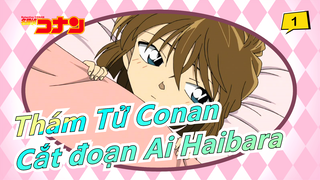 [Thám Tử Conan/HD] Cắt đoạn Ai Haibara tập M11_1