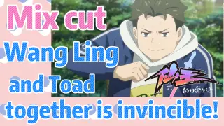 [The daily life of the fairy king]  Mix cut | Wang Ling and Toad together is invincible!