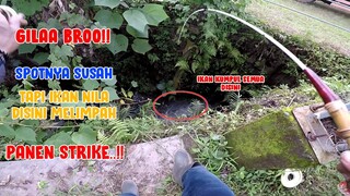 GILAA..!! BANYAK BANGET IKAN DISINI BROO || PESTA STRIKE!!