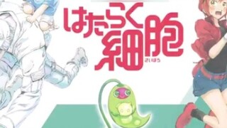 [Hataraku Saibou] Ekstra: Bab Euglena